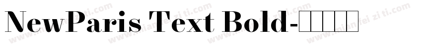 NewParis Text Bold字体转换